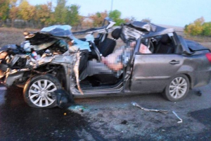 V regiji orenburg, tuji avto se je zrušil v čredo konjev, dva človeka umrla